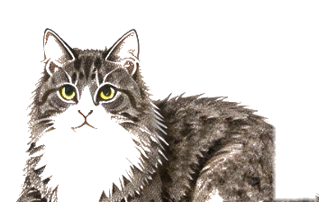 Mishmish the cat